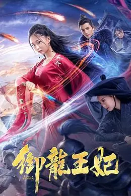 御龙王妃封面图