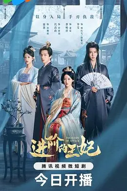 进阶的王妃封面图