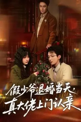 假少爷退婚当天，真大佬上门认亲海报图片