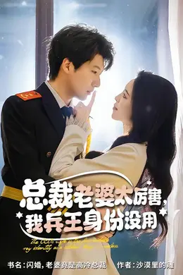 总裁老婆太厉害，我兵王身份没用封面图