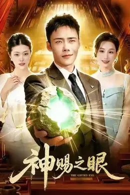 神赐之眼封面图
