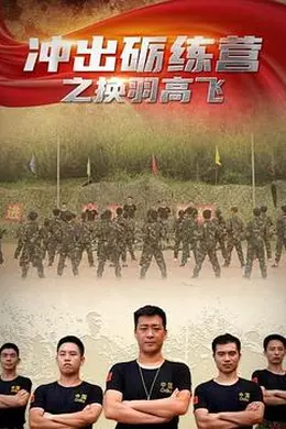 冲出砺练营之换羽高飞封面图
