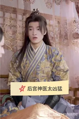 后宫神医太凶猛海报图片