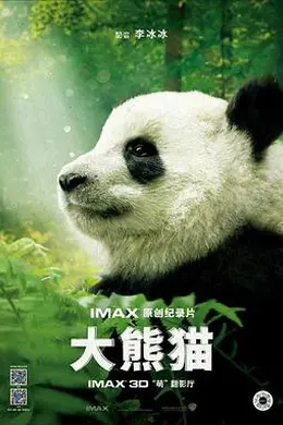 大熊猫封面图