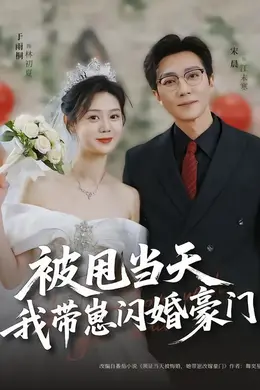 被甩当天我带崽闪婚豪门海报图片