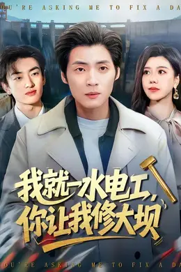 我就一水电工，你让我修大坝海报图片
