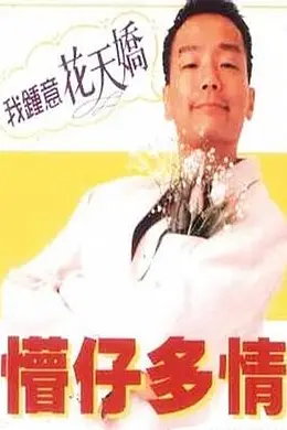 懵仔多情封面图