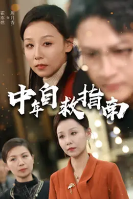 中年自救指南海报图片
