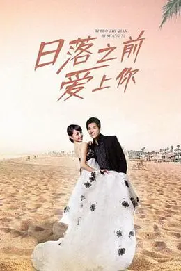 日落之前爱上你封面图