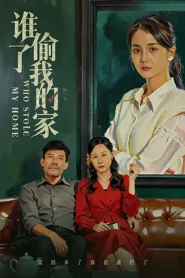 谁偷了我的家封面图