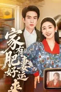 家有肥妻好运来海报图片