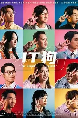 IT狗2.0封面图