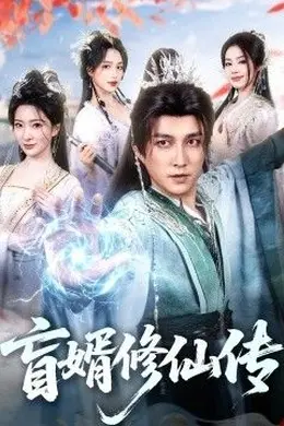 盲婿修仙传封面图