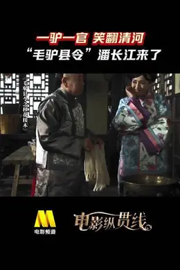 电影纵贯线 |《毛驴县令》系列封面图