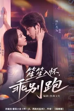 笙笙入怀，乖别跑封面图