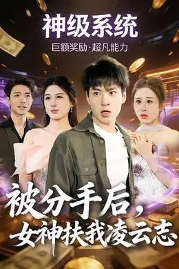 被分手后，女神扶我凌云志海报图片