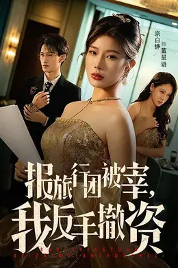 报旅行团被宰，我反手撤资封面图