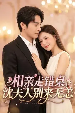 相亲走错桌，沈夫人别来无恙封面图