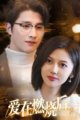 爱在燃烧后海报图片