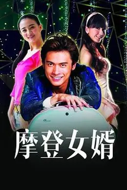 摩登女婿封面图