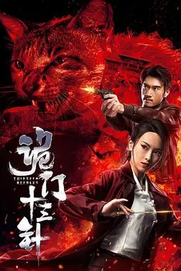 诡门十三针封面图