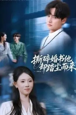 撕碎婚书他却踏尘而来封面图