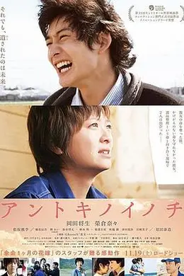 那时的生命封面图