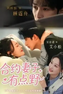 合约妻子有点野封面图