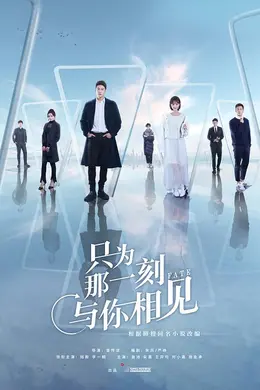 只为那一刻与你相见网络版封面图