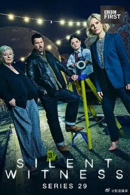 无声的证言 第二十九季海报图片