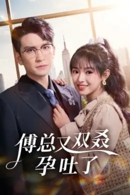 傅总又双叒孕吐了海报图片