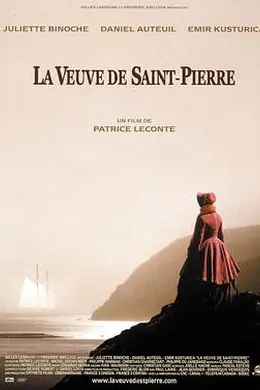 圣皮埃尔的寡妇封面图