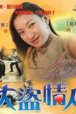 大盗情人封面图