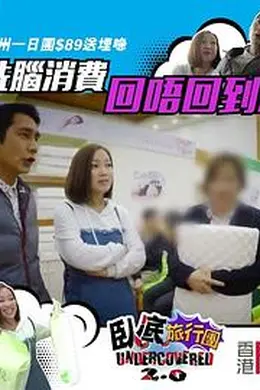 卧底旅行团2.0封面图