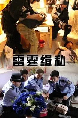 雷霆缉私封面图
