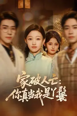 家破人亡：你真当我是丫鬟啊海报图片
