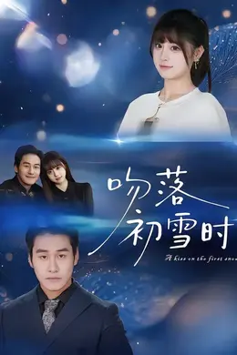吻落初雪时海报图片