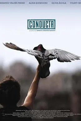 飞不起来的童年封面图