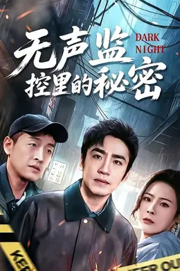 无声监控里的秘密海报图片