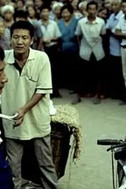 彩虹总在风雨后封面图