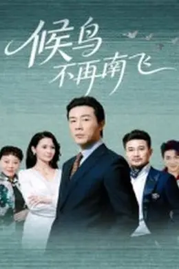 候鸟不再南飞海报图片