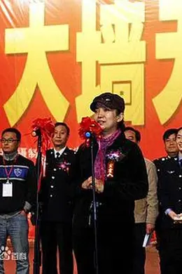 大墙无言封面图