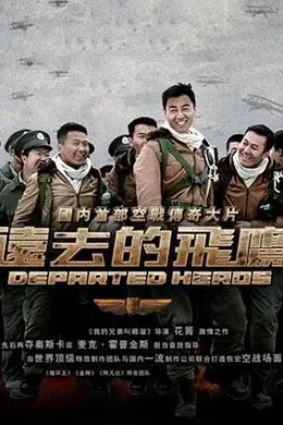 远去的飞鹰封面图