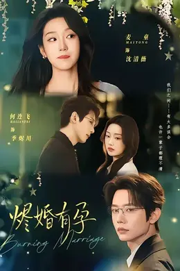 烬婚有孕海报图片