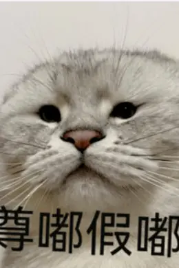 太离谱了这俩！封面图