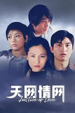 天网情网封面图