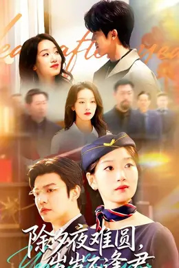 除夕夜难圆，岁岁不逢君封面图