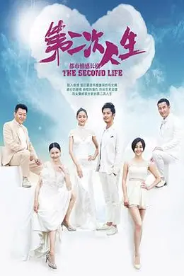 第二次人生2014封面图