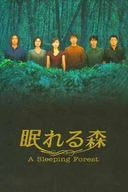 沉睡的森林1998封面图
