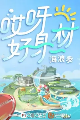 哎呀好身材3卫视版封面图